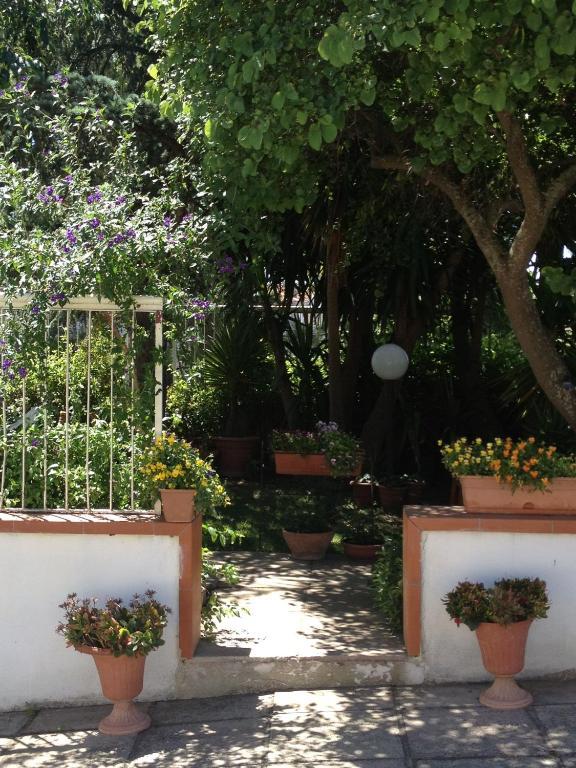 B&B Solacium Matera Eksteriør bilde